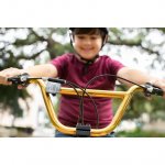 Genesis 20 inch Krome 2.0 BMX Bicycle with Front and Rear Pegs, Gold