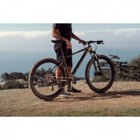 schwinn 29 inch axum mountain bike with dropper seatpost